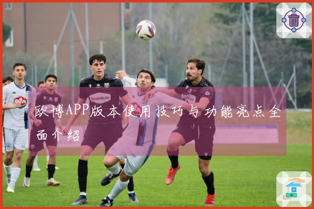 欧博APP版本使用技巧与功能亮点全面介绍