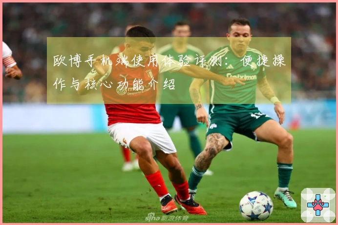 欧博手机端使用体验评测：便捷操作与核心功能介绍