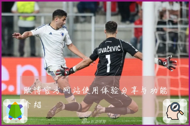 欧博官方网站使用体验分享与功能介绍
